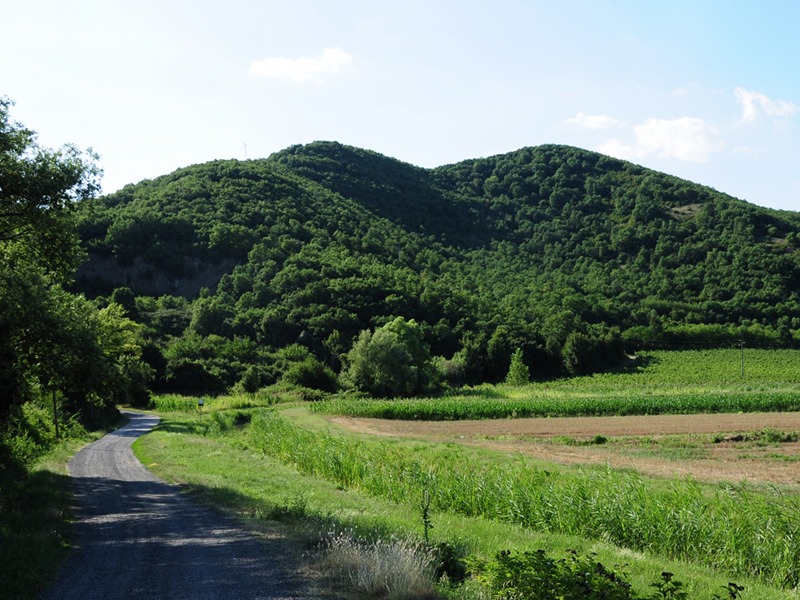 Trekking sui Colli Euganei
