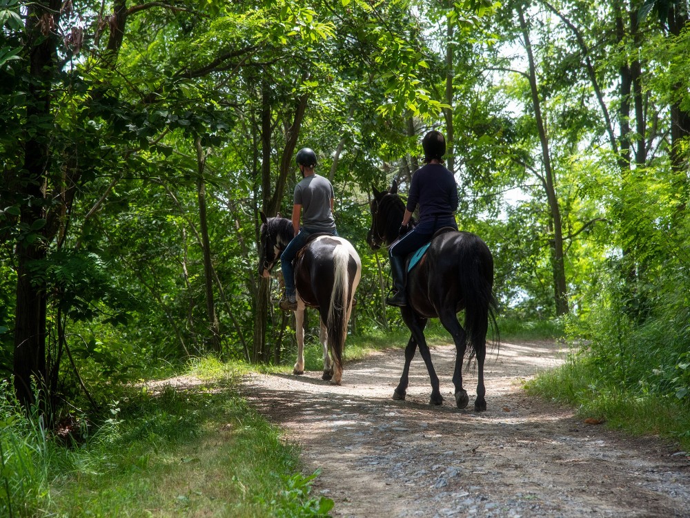Passeggiata a cavallo e aperitivo