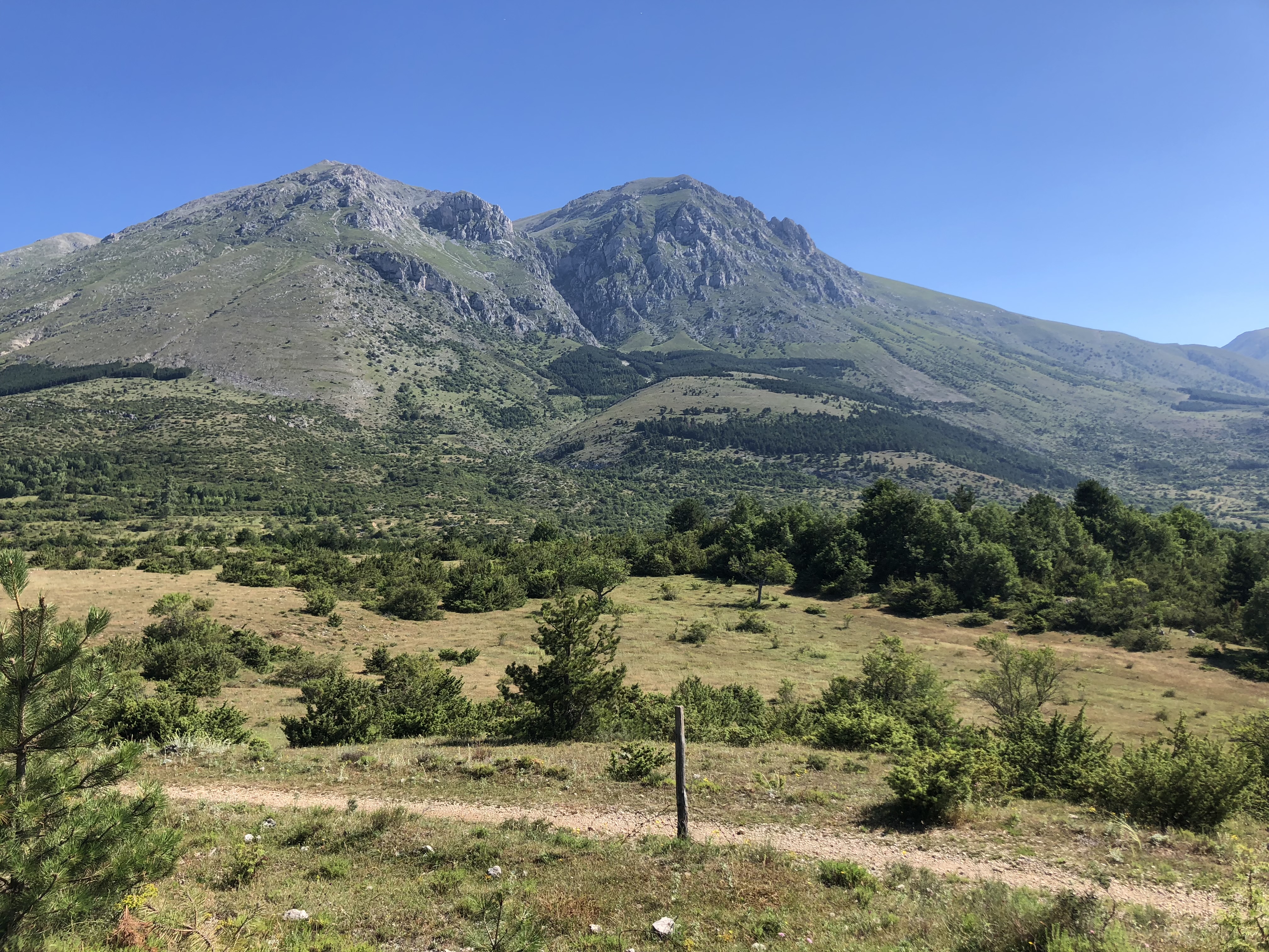 Escursione Monte Aquila🥾🏔️ con Cani🐕